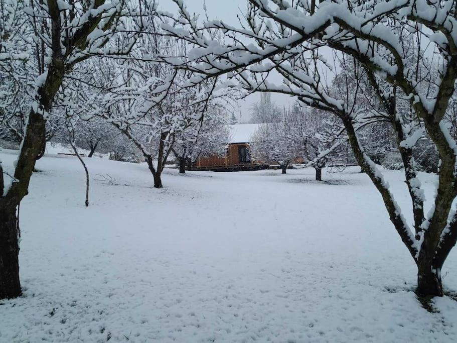 Nica Wood Villa Sremska Kamenica Dış mekan fotoğraf