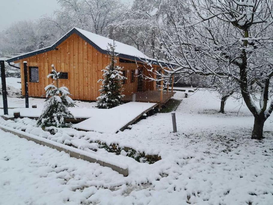 Nica Wood Villa Sremska Kamenica Dış mekan fotoğraf