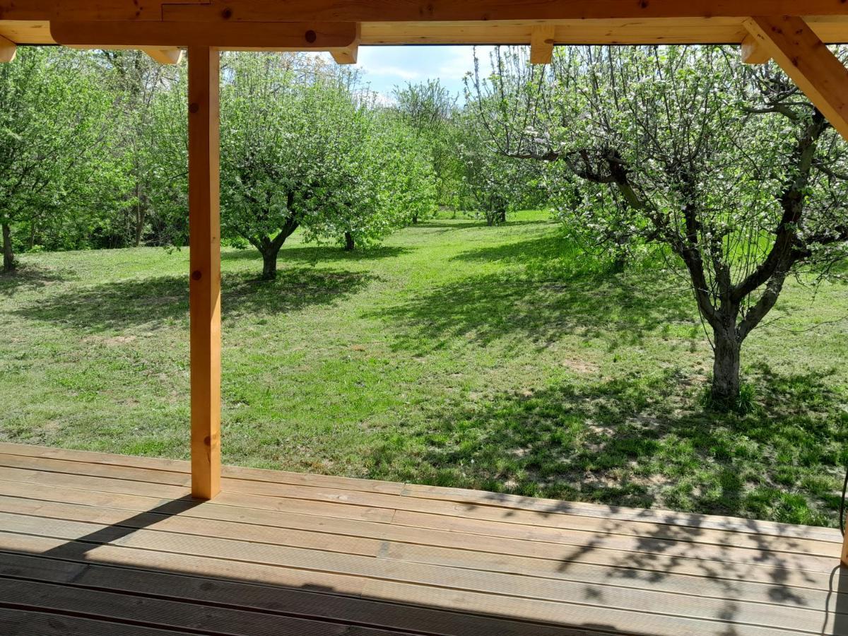 Nica Wood Villa Sremska Kamenica Dış mekan fotoğraf