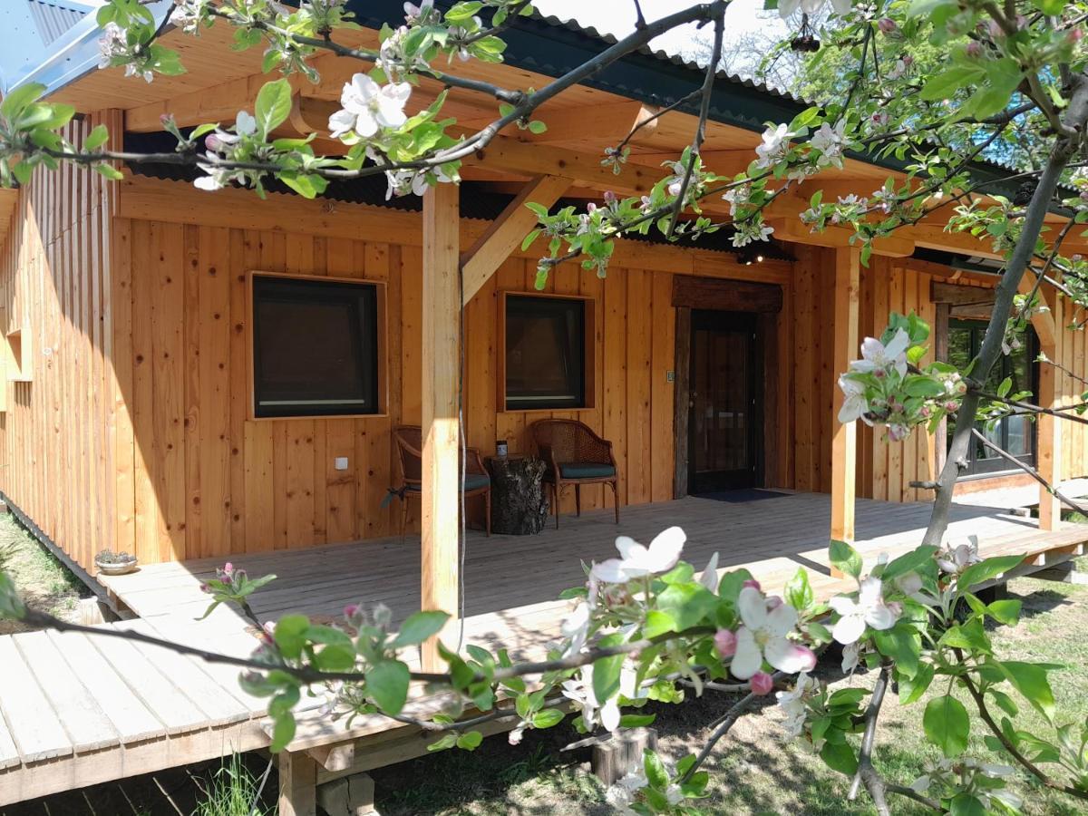 Nica Wood Villa Sremska Kamenica Dış mekan fotoğraf