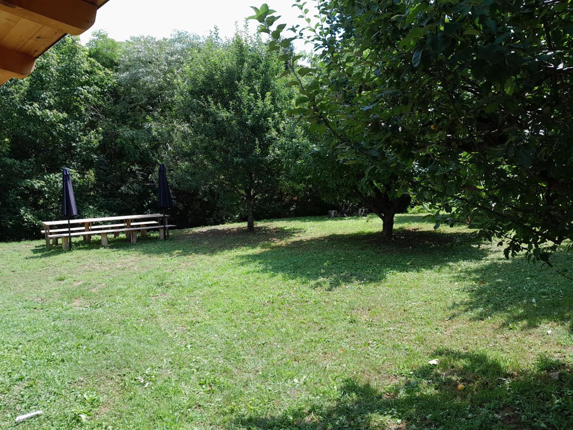 Nica Wood Villa Sremska Kamenica Dış mekan fotoğraf