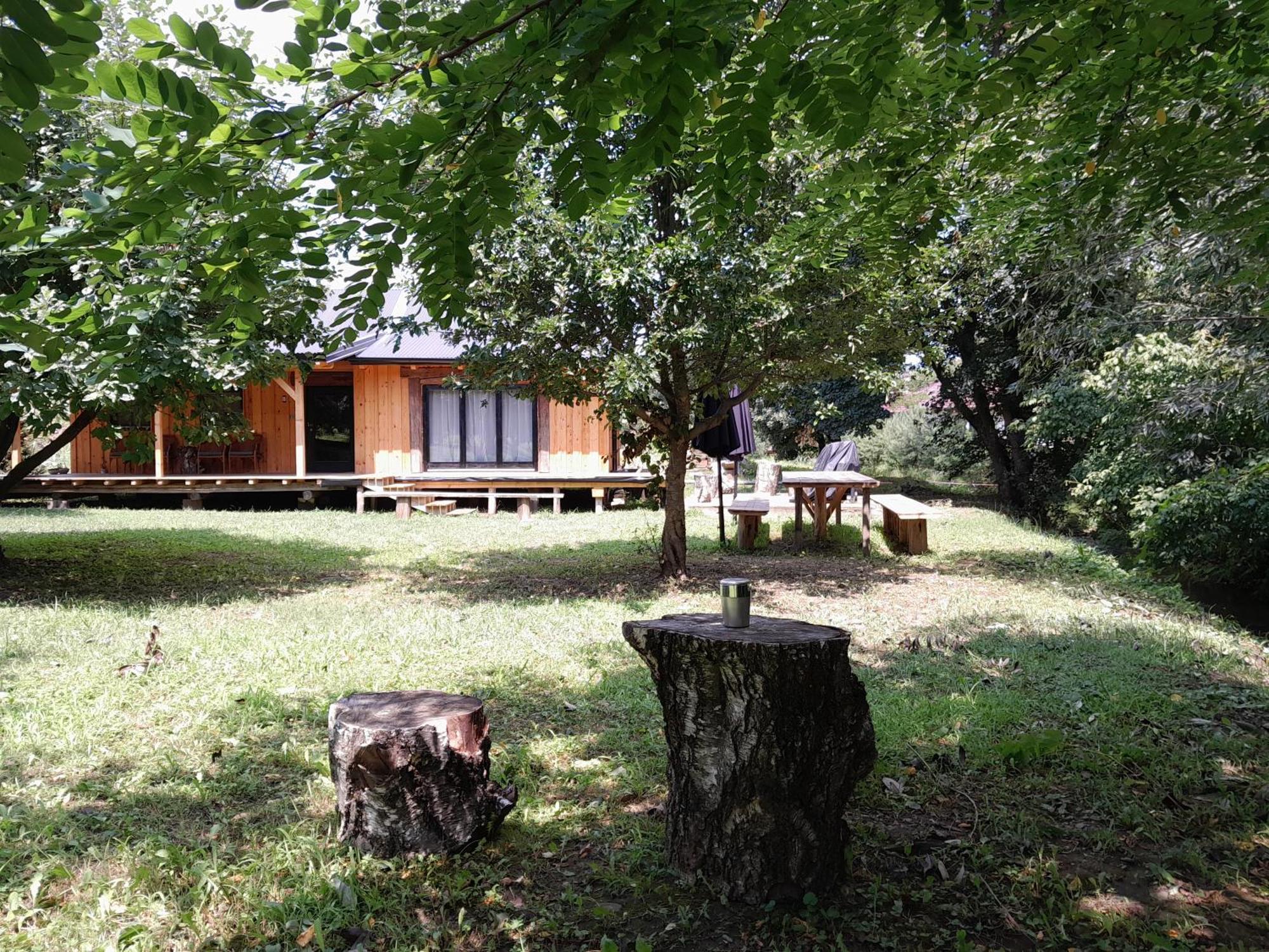 Nica Wood Villa Sremska Kamenica Dış mekan fotoğraf